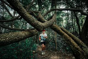 BIB: 
                            <button type="button" onclick="openModal(25664734)" class="btn btn-primary btn-sm float-right btn-popup" data-toggle="modal" data-target=".modal-high-quality">
                        <i class="fas fa-shopping-cart"></i> Add to Cart
                    </button>
                                            <button type="button" onclick="isThisMe(25664734, true)" class="btn btn-success btn-sm float-right btn-popup btn-isme hidden" data-toggle="tooltip" data-placement="bottom" title="นี่คือรูปของคุณใช่ไหม คลิกที่นี่เพื่อเอาเข้าอัลบั้ม">
                        <i class="fas fa-plus"></i> Add to album
                    </button>
                    <button type="button" onclick="isThisMe(25664734, false)" class="btn btn-warning btn-sm float-right btn-popup btn-isnotme hidden">
                        <i class="fas fa-ban"></i> Remove from album
                    </button>